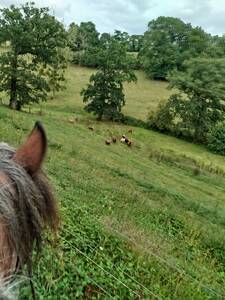 Bivouac Ado (débutant & intermédiaire) à cheval